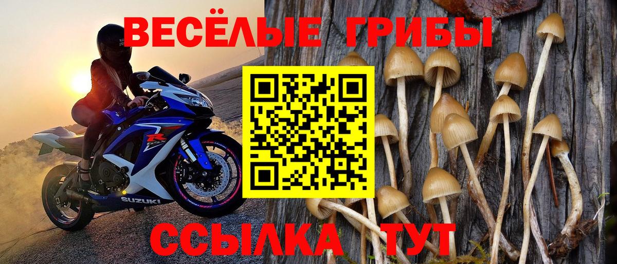 Псилоцибиновые грибы мицелий Ногинск